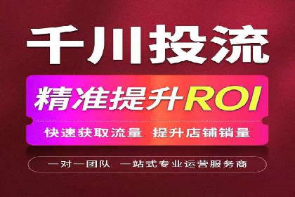 sem百度竞价成功案例：如何精准投放广告